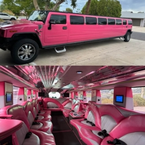 A pink limo is parked in front of the camera.